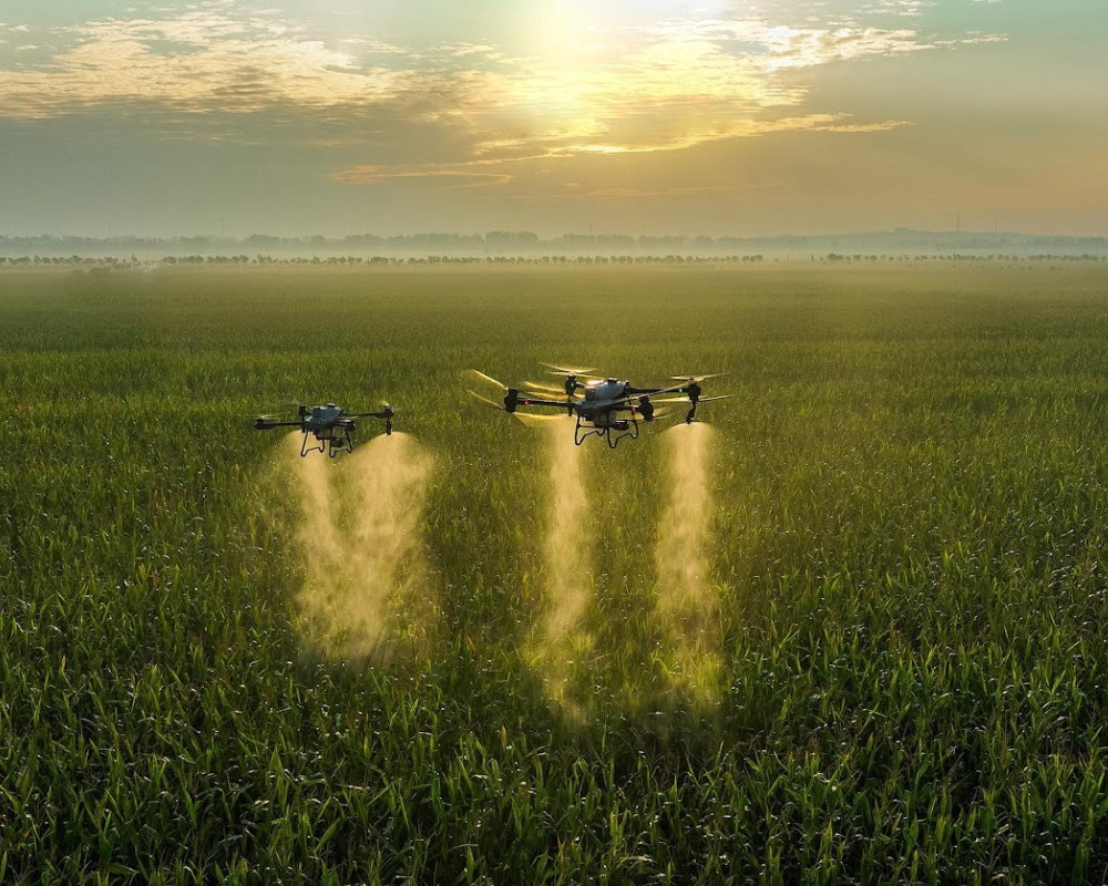 mezőgazdasági drónok bérmunkákra, idénymunkákra, permetezésre, kárfelmérésre