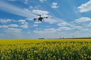 Viharkár felmérés