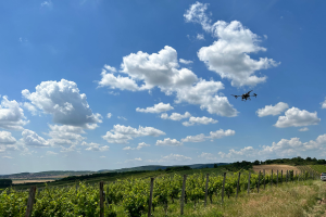 Terméshozam becslés