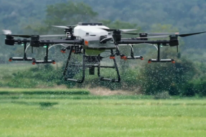 Tápanyag kijuttatás