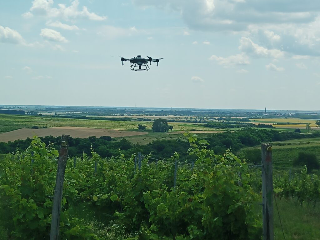 mezőgazdasági növény egészségügyi állapot felmérés drónokkal