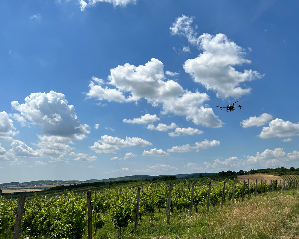 mezőgazdasági drónok bérmunkákra, idénymunkákra, permetezésre, kárfelmérésre