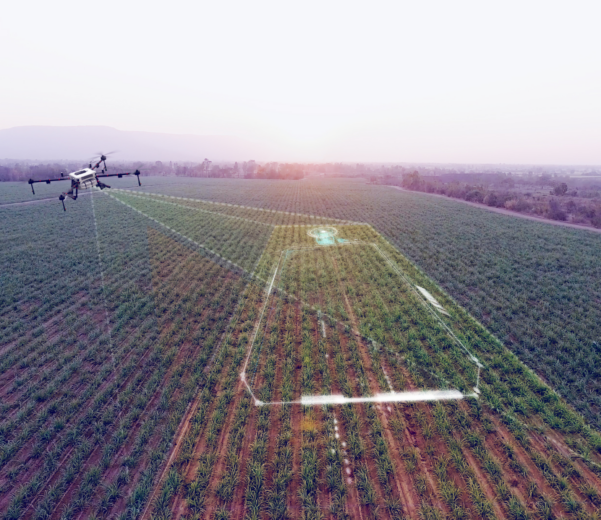 geodéziai felmérések